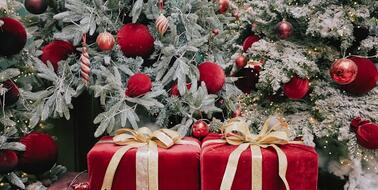 Графік роботи на період різдвяних та новорічних свят 2025-2026🎄